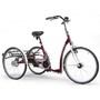 Велосипед для детей с ДЦП Vermeiren Liberty